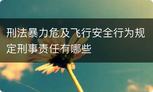 刑法暴力危及飞行安全行为规定刑事责任有哪些