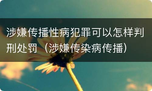 涉嫌传播性病犯罪可以怎样判刑处罚（涉嫌传染病传播）