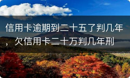 信用卡逾期到二十五了判几年，欠信用卡二十万判几年刑