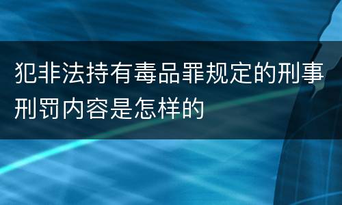 犯非法持有毒品罪规定的刑事刑罚内容是怎样的