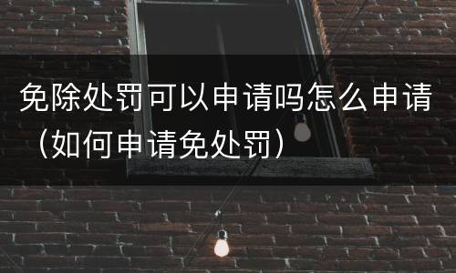 免除处罚可以申请吗怎么申请（如何申请免处罚）