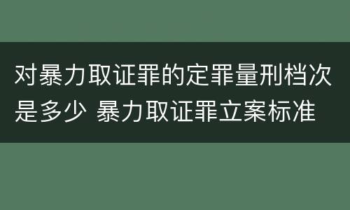 对暴力取证罪的定罪量刑档次是多少 暴力取证罪立案标准