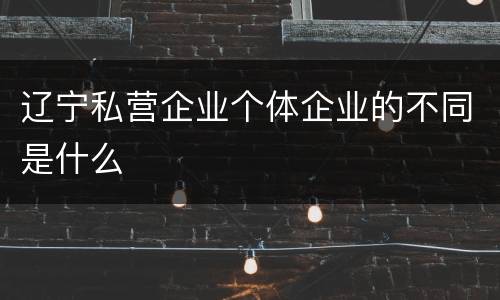 辽宁私营企业个体企业的不同是什么