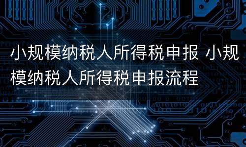 小规模纳税人所得税申报 小规模纳税人所得税申报流程