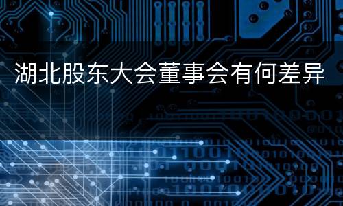 湖北股东大会董事会有何差异