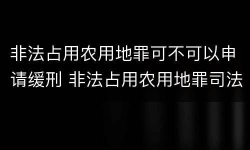 非法占用农用地罪可不可以申请缓刑 非法占用农用地罪司法建议