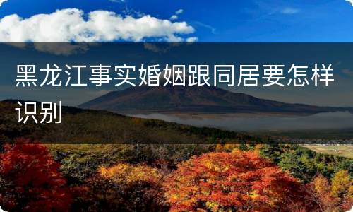 黑龙江事实婚姻跟同居要怎样识别