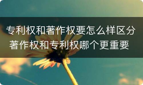 专利权和著作权要怎么样区分 著作权和专利权哪个更重要