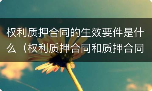 权利质押合同的生效要件是什么（权利质押合同和质押合同有什么区别）