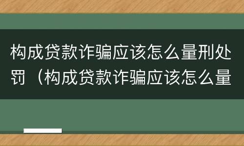 构成贷款诈骗应该怎么量刑处罚（构成贷款诈骗应该怎么量刑处罚案例）