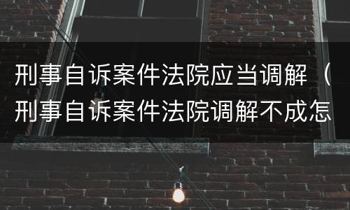 刑事自诉案件法院应当调解（刑事自诉案件法院调解不成怎么处理）