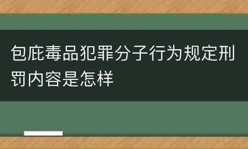 包庇毒品犯罪分子行为规定刑罚内容是怎样