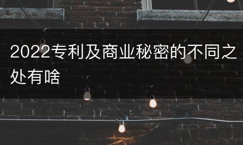 2022专利及商业秘密的不同之处有啥