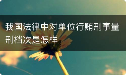 我国法律中对单位行贿刑事量刑档次是怎样