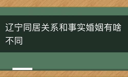 辽宁同居关系和事实婚姻有啥不同
