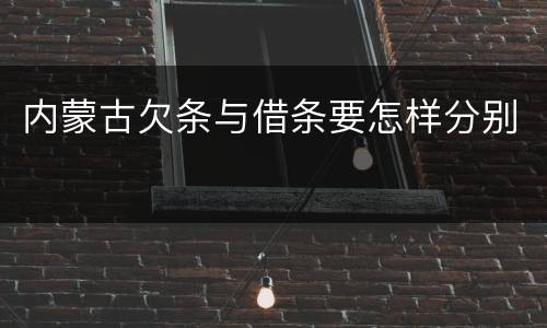 内蒙古欠条与借条要怎样分别