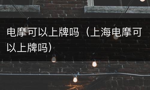 电摩可以上牌吗（上海电摩可以上牌吗）