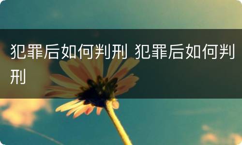 犯罪后如何判刑 犯罪后如何判刑