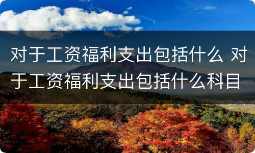 对于工资福利支出包括什么 对于工资福利支出包括什么科目