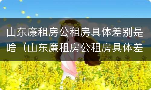 山东廉租房公租房具体差别是啥（山东廉租房公租房具体差别是啥样的）