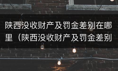 陕西没收财产及罚金差别在哪里（陕西没收财产及罚金差别在哪里可以查到）