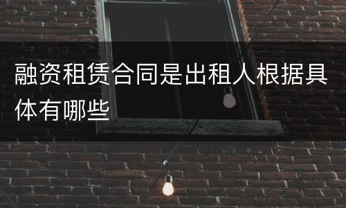 融资租赁合同是出租人根据具体有哪些