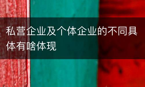 私营企业及个体企业的不同具体有啥体现
