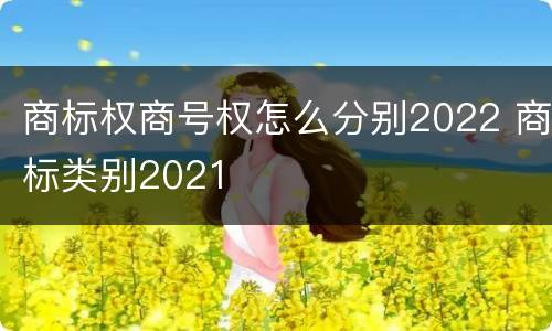 商标权商号权怎么分别2022 商标类别2021