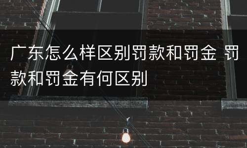 广东怎么样区别罚款和罚金 罚款和罚金有何区别