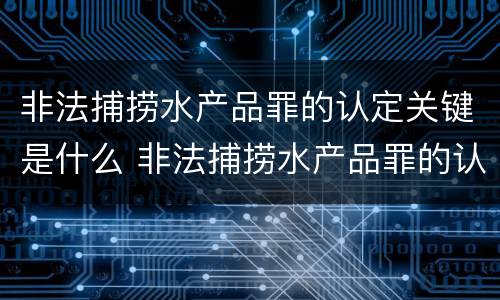 非法捕捞水产品罪的认定关键是什么 非法捕捞水产品罪的认定关键是什么问题