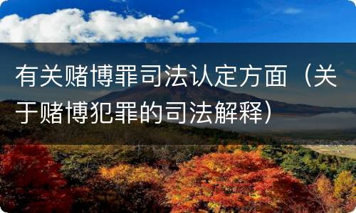 有关赌博罪司法认定方面（关于赌博犯罪的司法解释）
