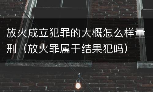 放火成立犯罪的大概怎么样量刑（放火罪属于结果犯吗）
