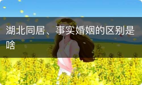 湖北同居、事实婚姻的区别是啥