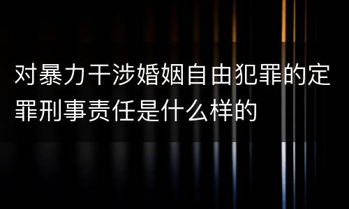 对暴力干涉婚姻自由犯罪的定罪刑事责任是什么样的
