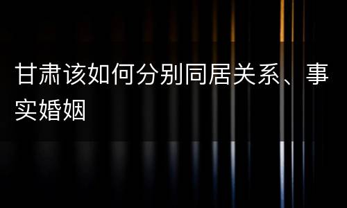 甘肃该如何分别同居关系、事实婚姻