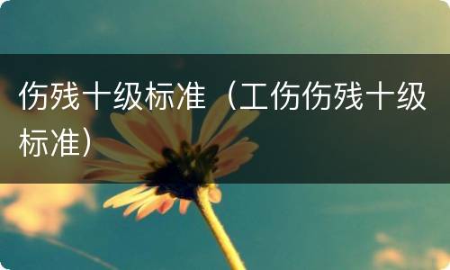 伤残十级标准（工伤伤残十级标准）