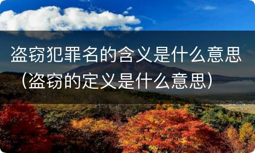 盗窃犯罪名的含义是什么意思（盗窃的定义是什么意思）