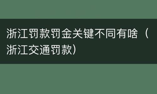 浙江罚款罚金关键不同有啥（浙江交通罚款）