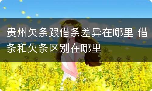 贵州欠条跟借条差异在哪里 借条和欠条区别在哪里