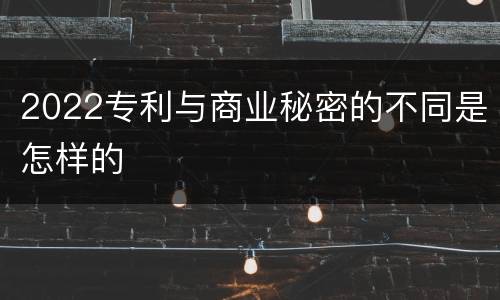 2022专利与商业秘密的不同是怎样的