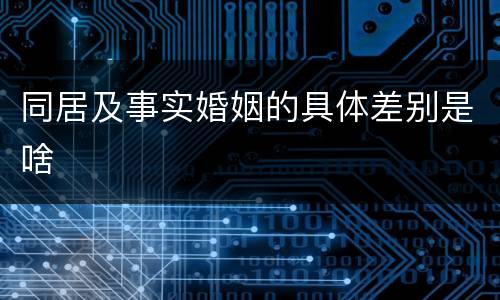 同居及事实婚姻的具体差别是啥