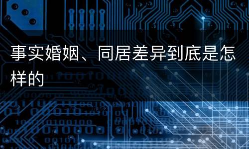 事实婚姻、同居差异到底是怎样的