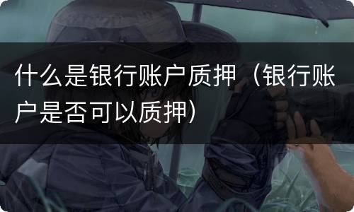 什么是银行账户质押（银行账户是否可以质押）