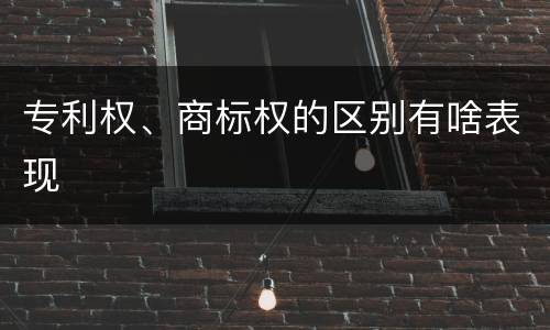 专利权、商标权的区别有啥表现