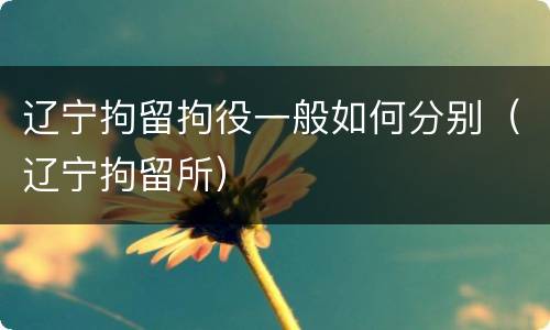 辽宁拘留拘役一般如何分别（辽宁拘留所）