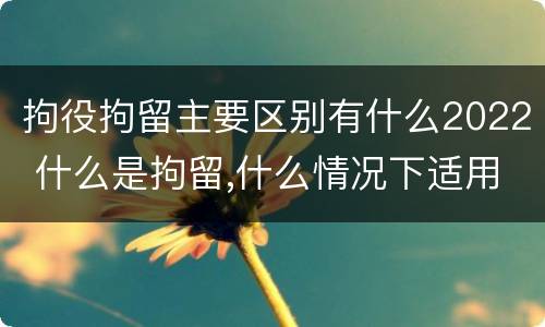 拘役拘留主要区别有什么2022 什么是拘留,什么情况下适用拘留