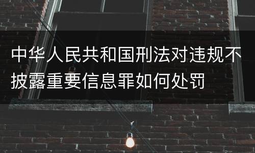 中华人民共和国刑法对违规不披露重要信息罪如何处罚
