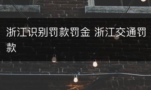 浙江识别罚款罚金 浙江交通罚款