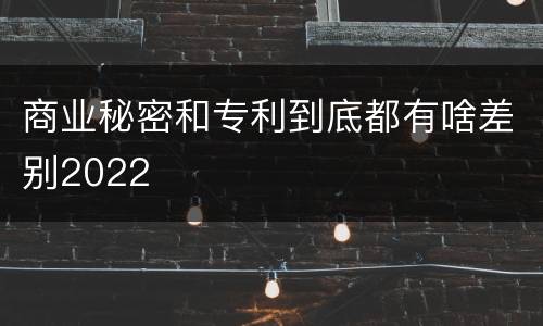 商业秘密和专利到底都有啥差别2022