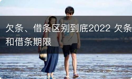 欠条、借条区别到底2022 欠条和借条期限